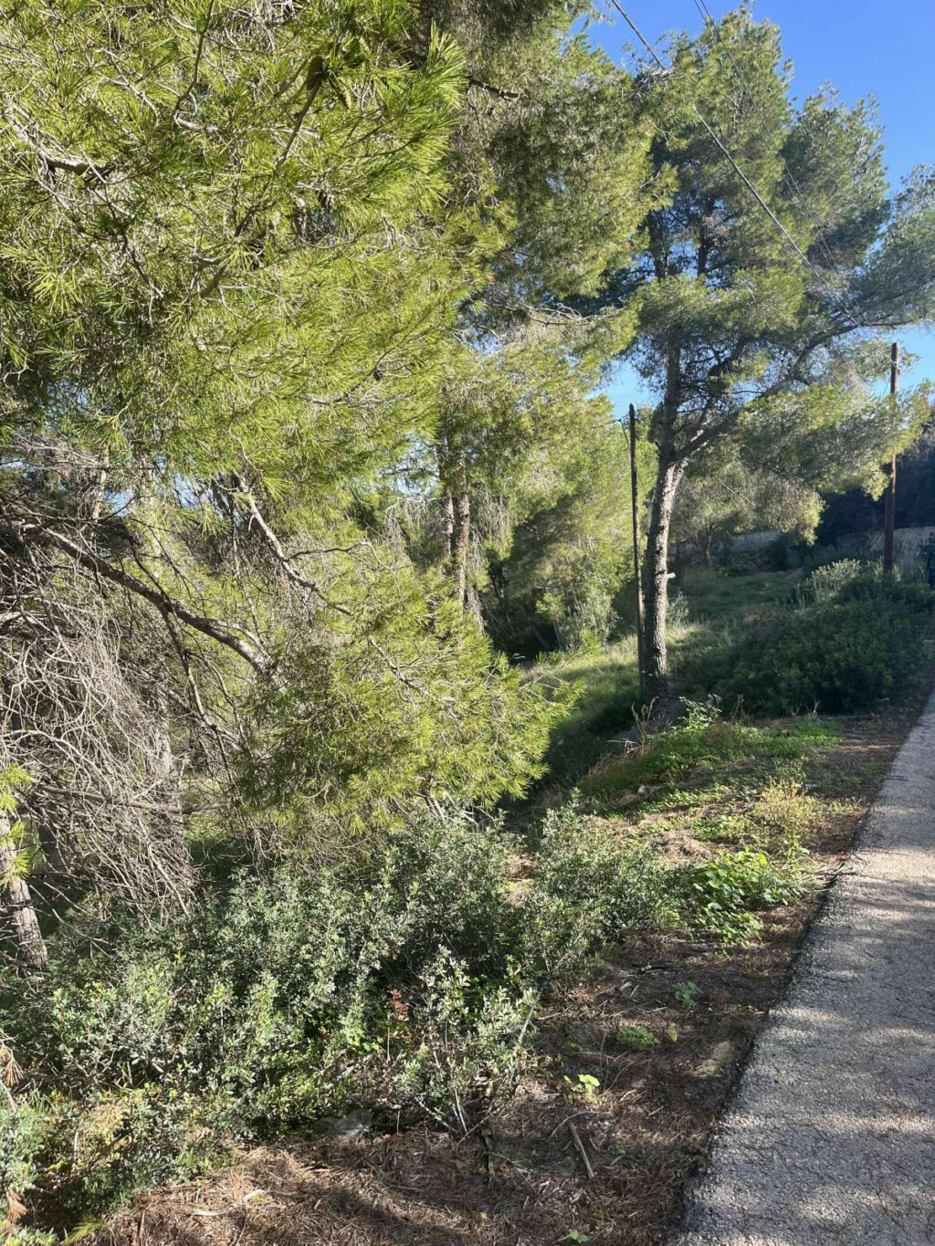 Land Javea Alicante - image 4