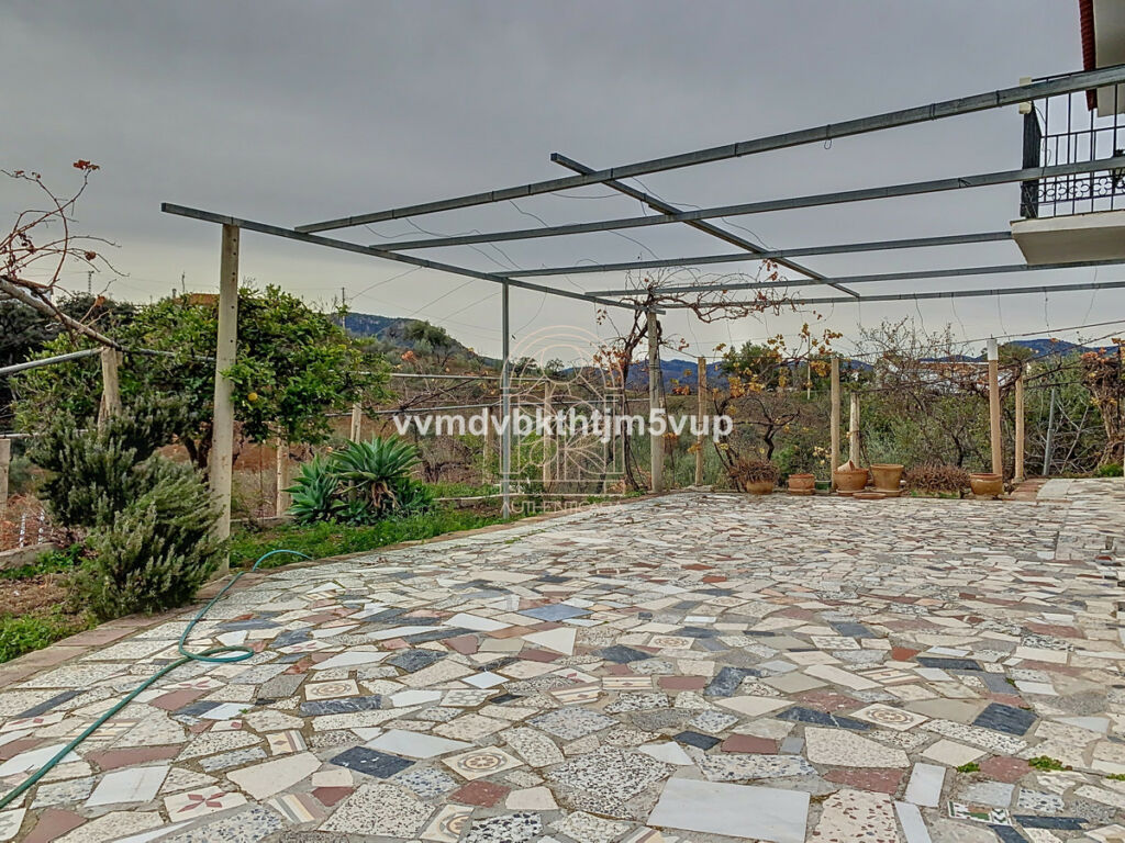 Finca - Cortijo Comares Málaga - image 4