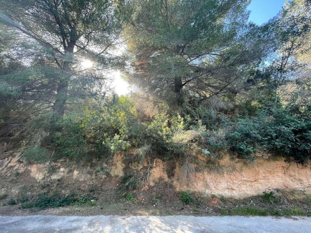 Residential Plot Benissa Alicante - image 4
