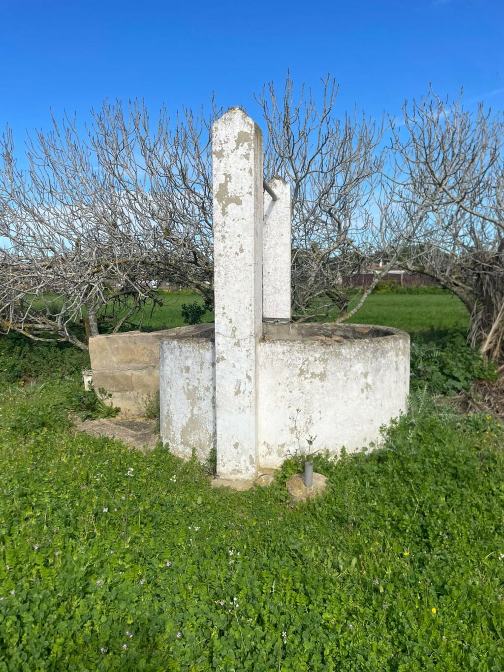 Land Conil de la Frontera Cádiz - image 4