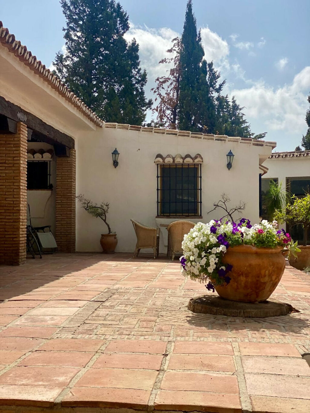 Detached Villa Mijas Málaga - image 3