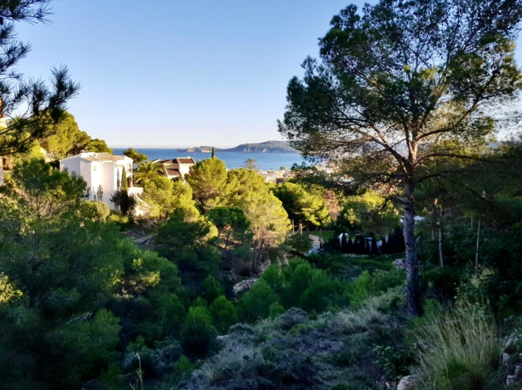Land Javea Alicante - image 4