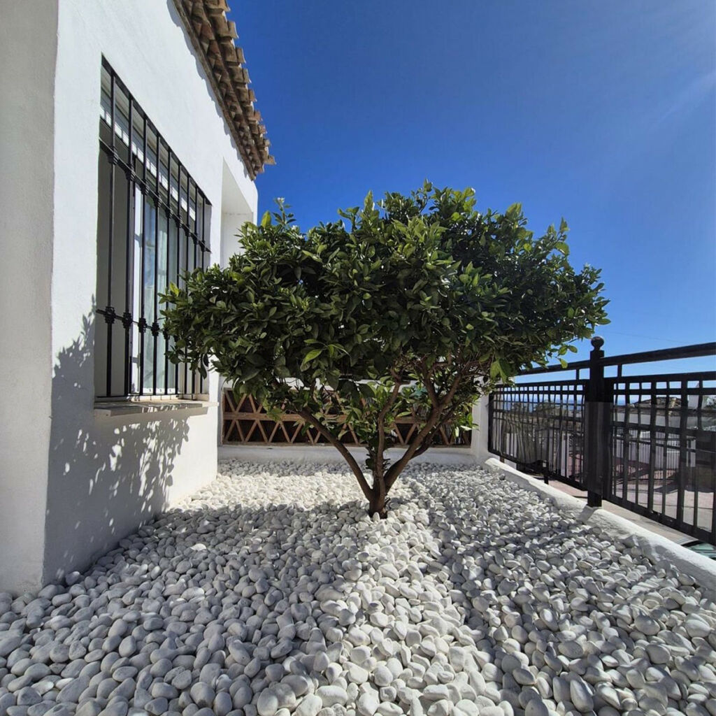 Ground Floor Apartment Benalmadena Málaga - image 3