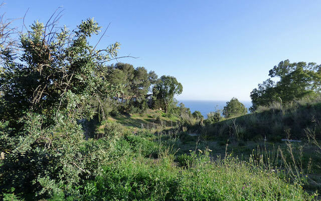 Residential Plot Benalmadena Pueblo Málaga - image 4