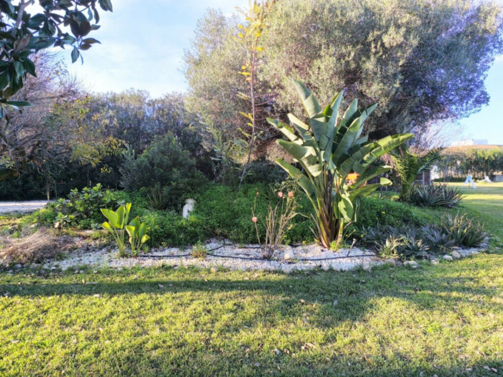 Detached Villa Ondara Alicante - image 4