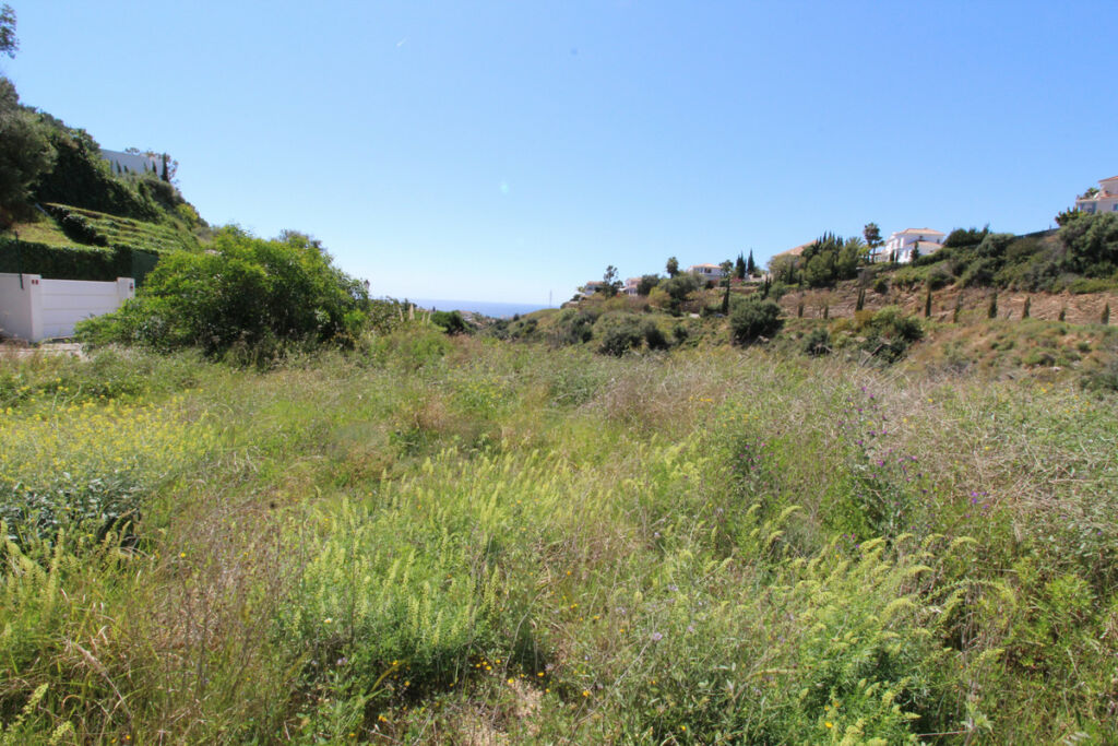 Residential Plot El Rosario Málaga - image 4
