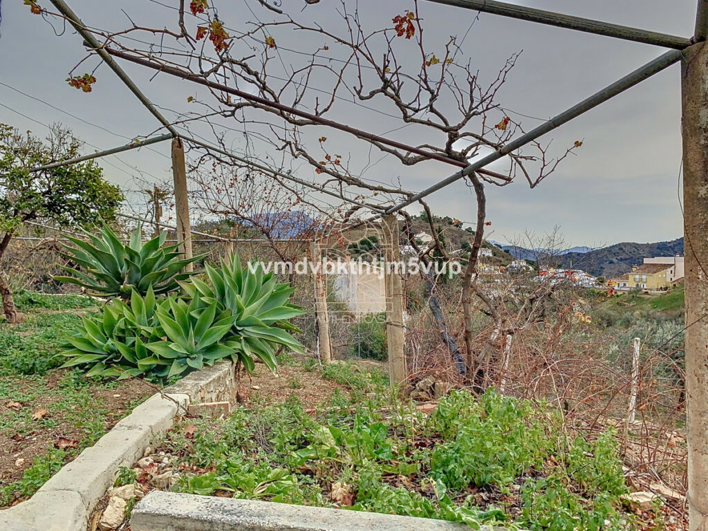 Finca - Cortijo Comares Málaga - image 40