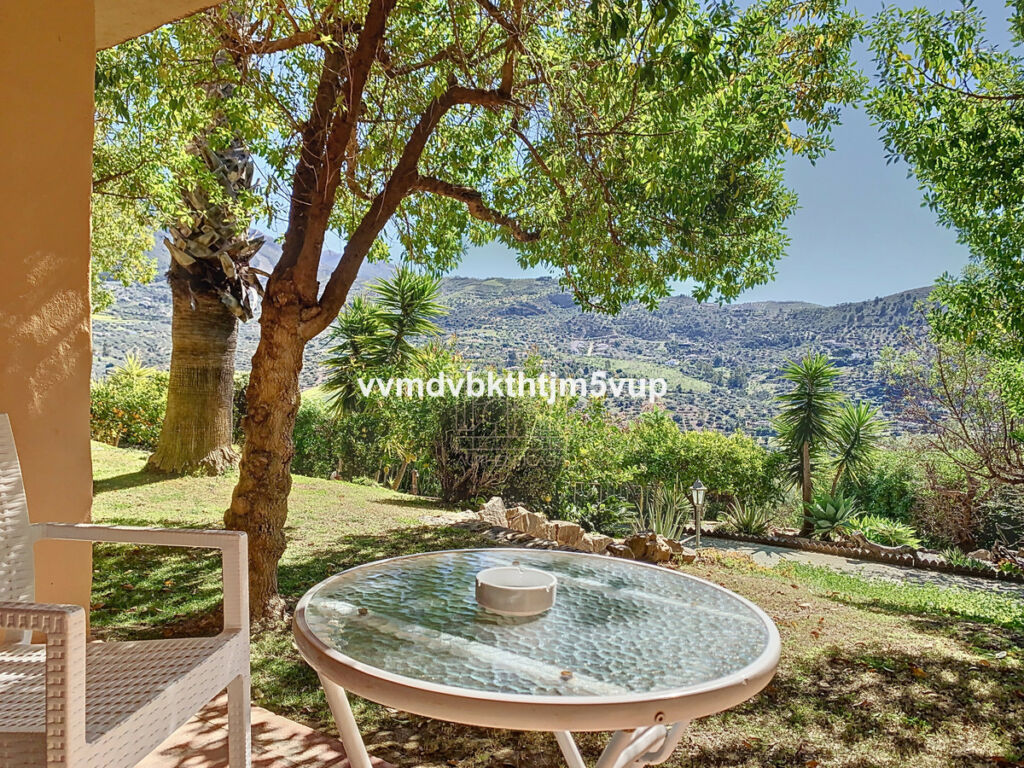 Finca - Cortijo Alcaucín Málaga - image 41