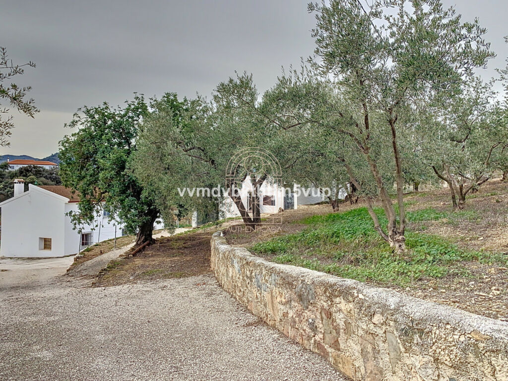 Finca - Cortijo Comares Málaga - image 42
