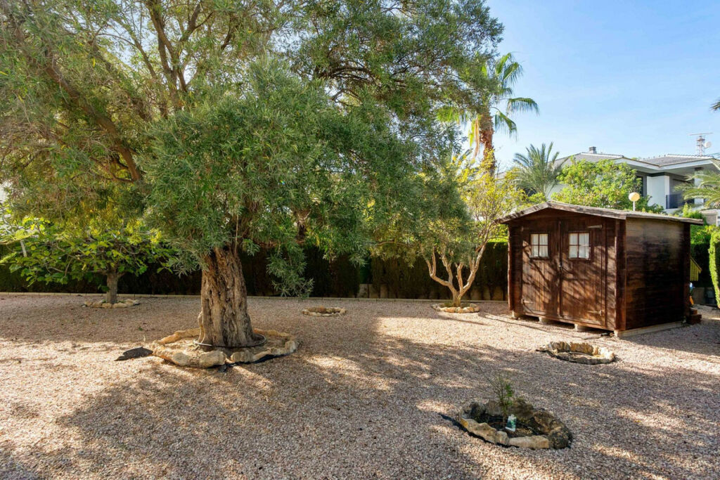Detached Villa Cabo Roig Alicante - image 42