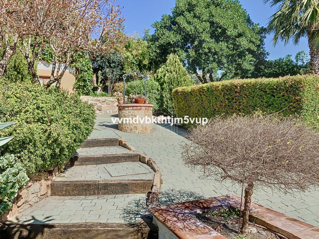Finca - Cortijo Alcaucín Málaga - image 42