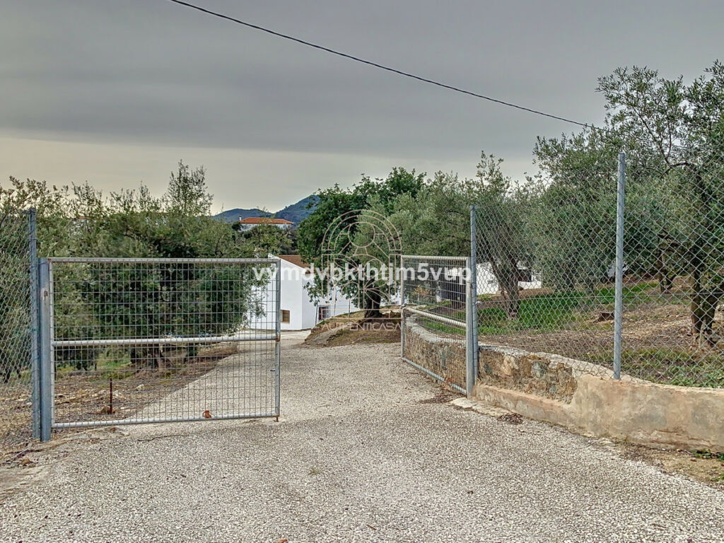 Finca - Cortijo Comares Málaga - image 43