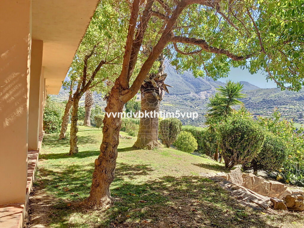 Finca - Cortijo Alcaucín Málaga - image 44