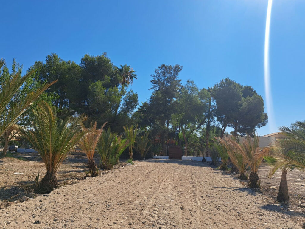 Detached Villa Orihuela Alicante - image 44