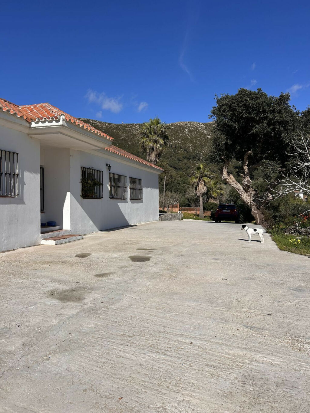 Detached Villa Tarifa Cádiz - image 45