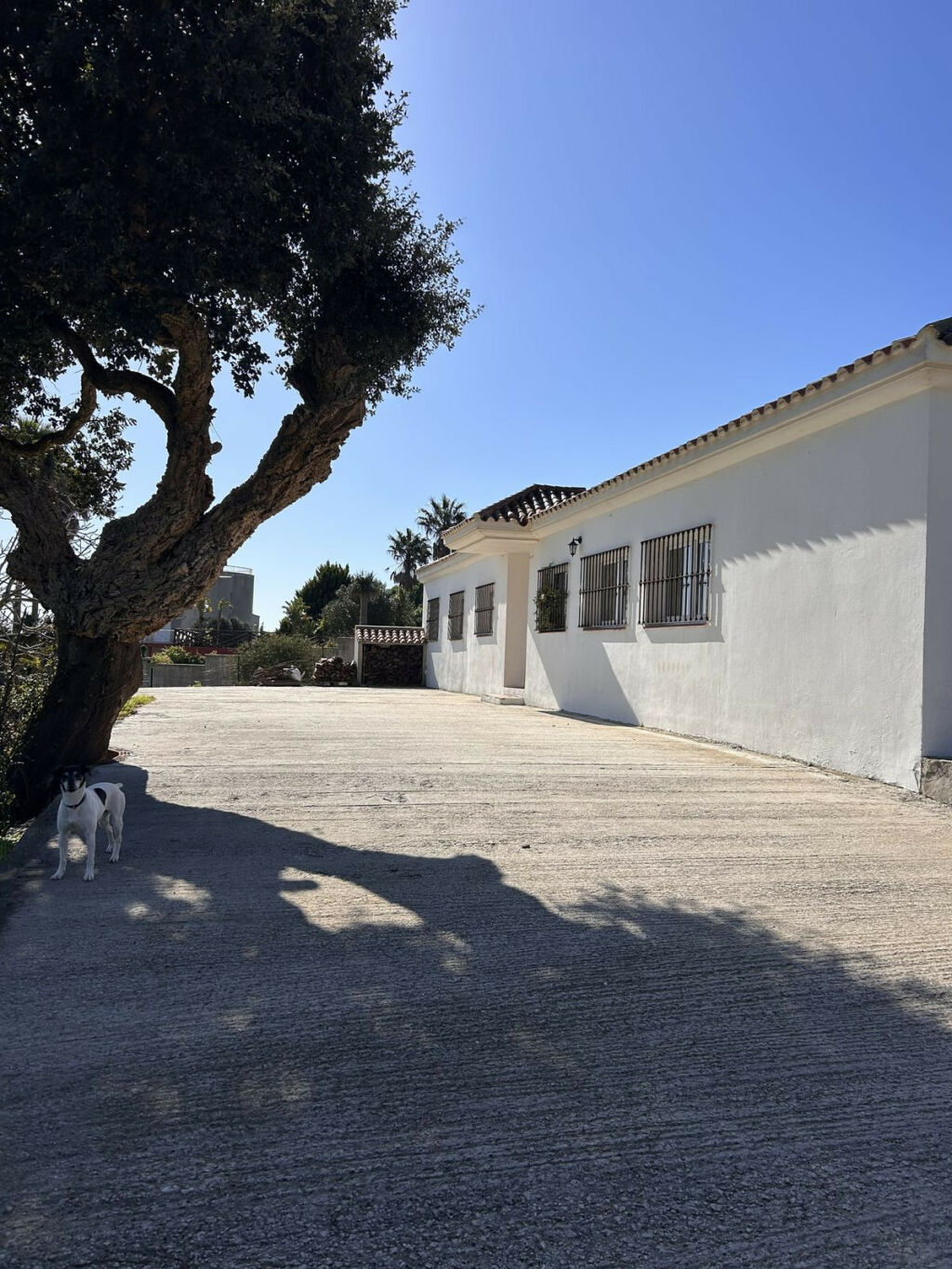 Detached Villa Tarifa Cádiz - image 47