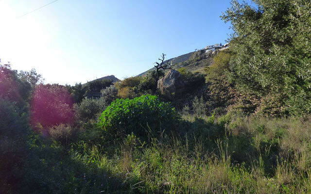 Residential Plot Benalmadena Pueblo Málaga - image 5