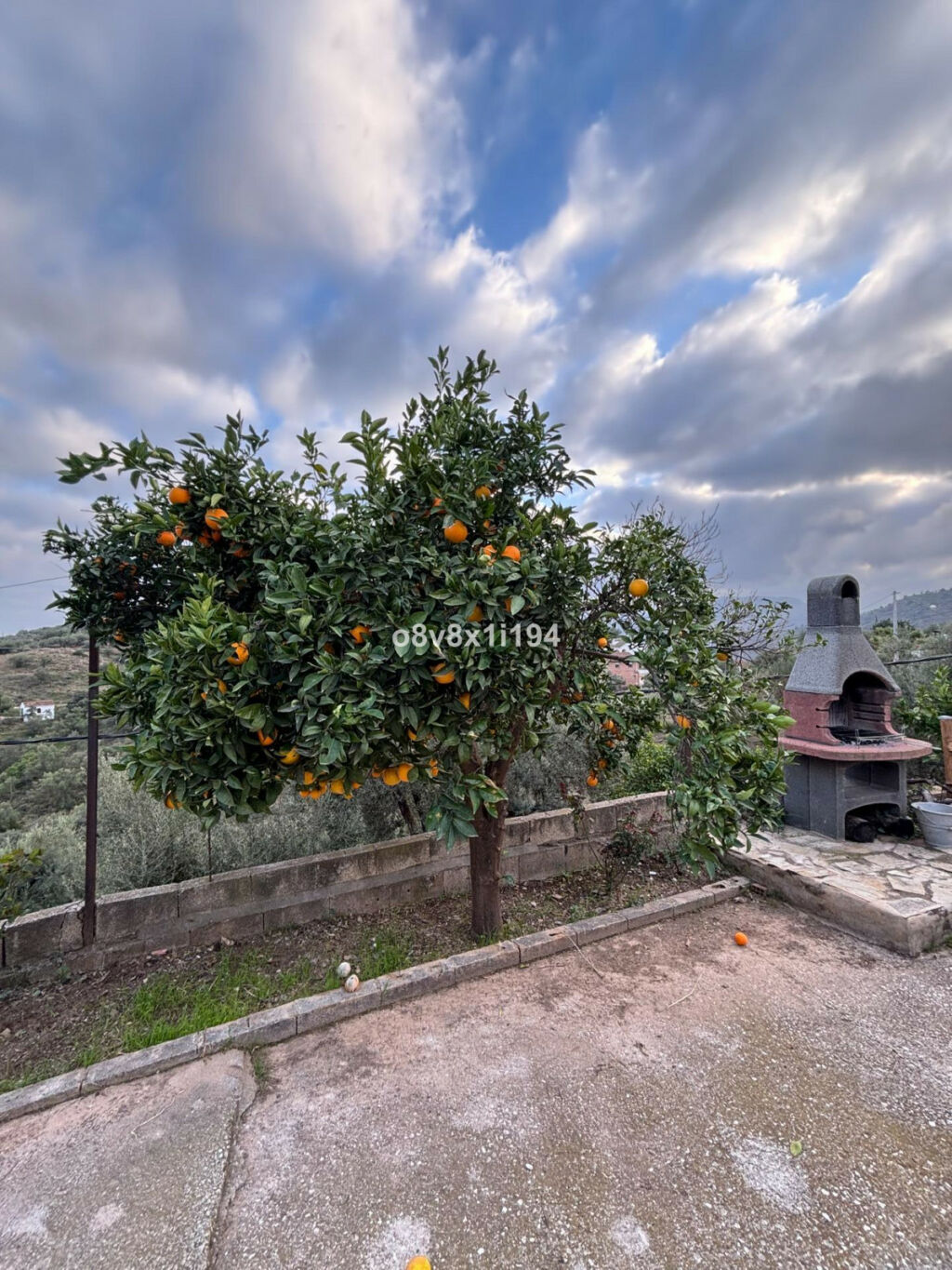 Finca - Cortijo Cútar Málaga - image 5