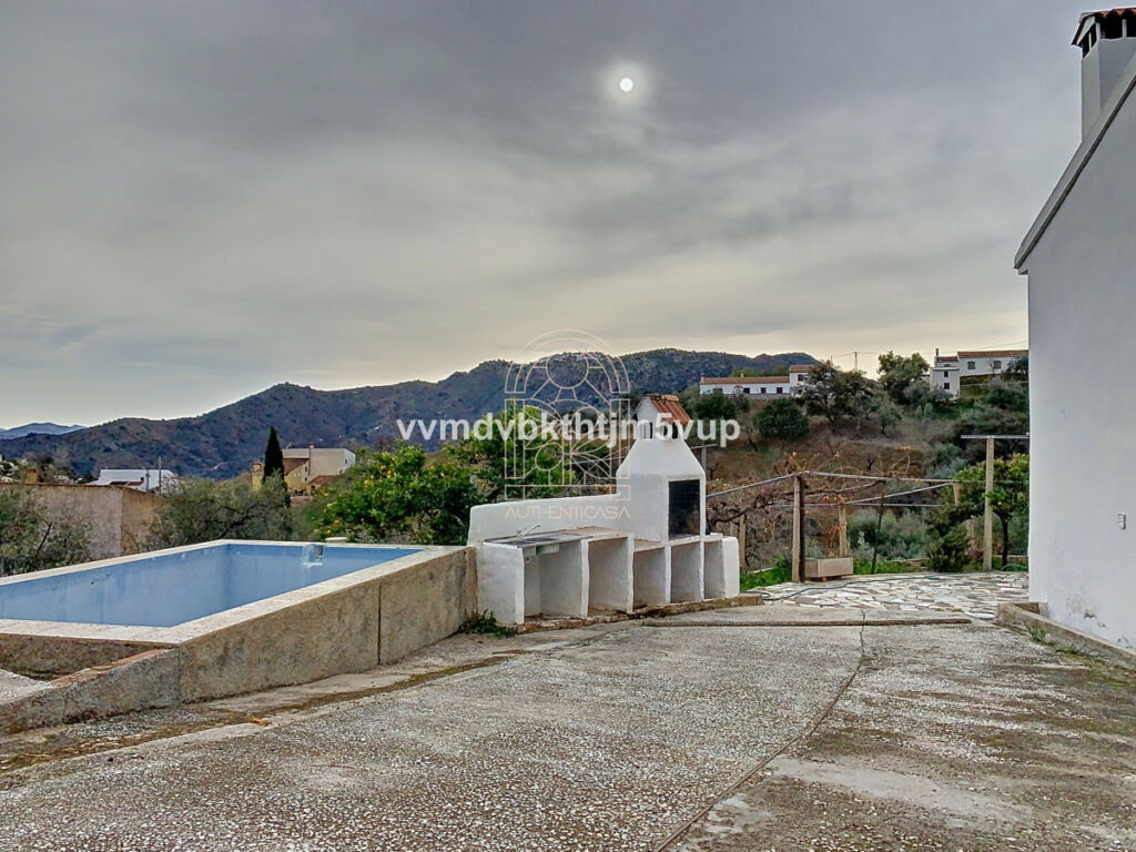 Finca - Cortijo Comares Málaga - image 5