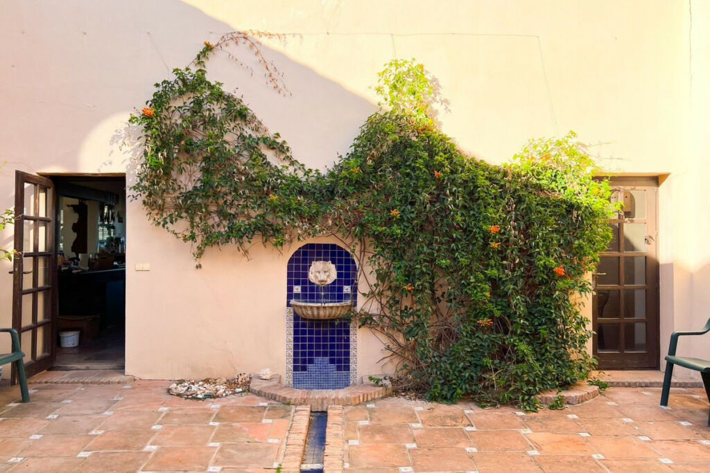 Detached Villa Estepona Málaga - image 6