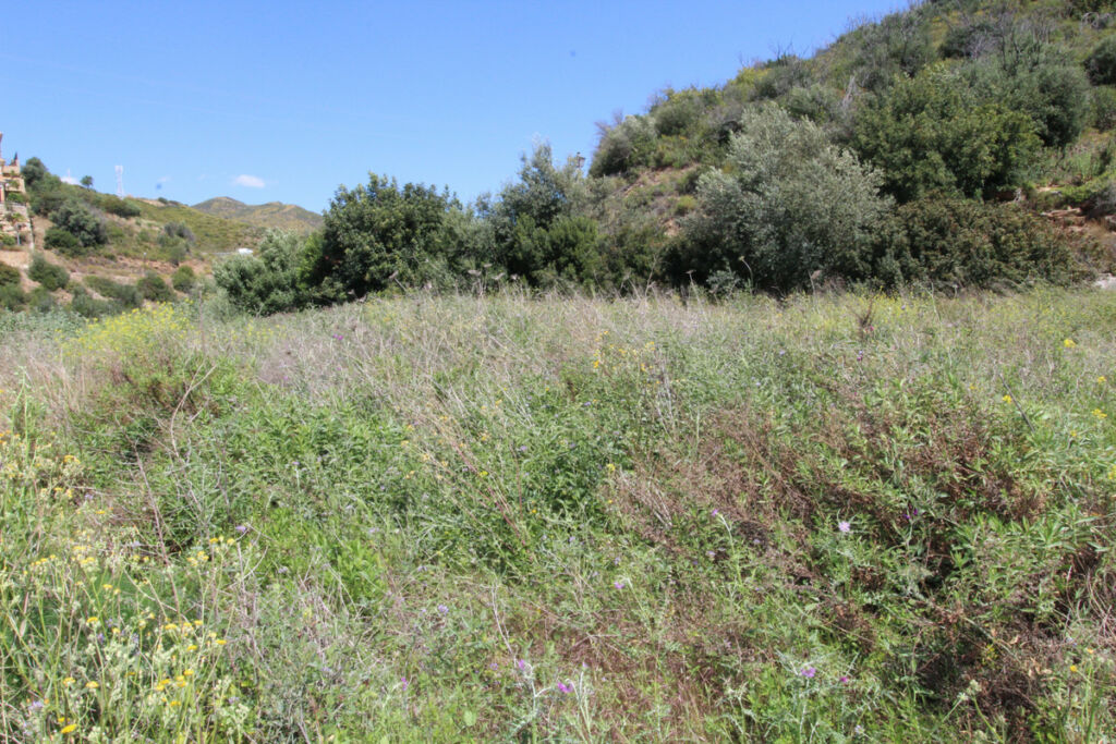 Residential Plot El Rosario Málaga - image 5