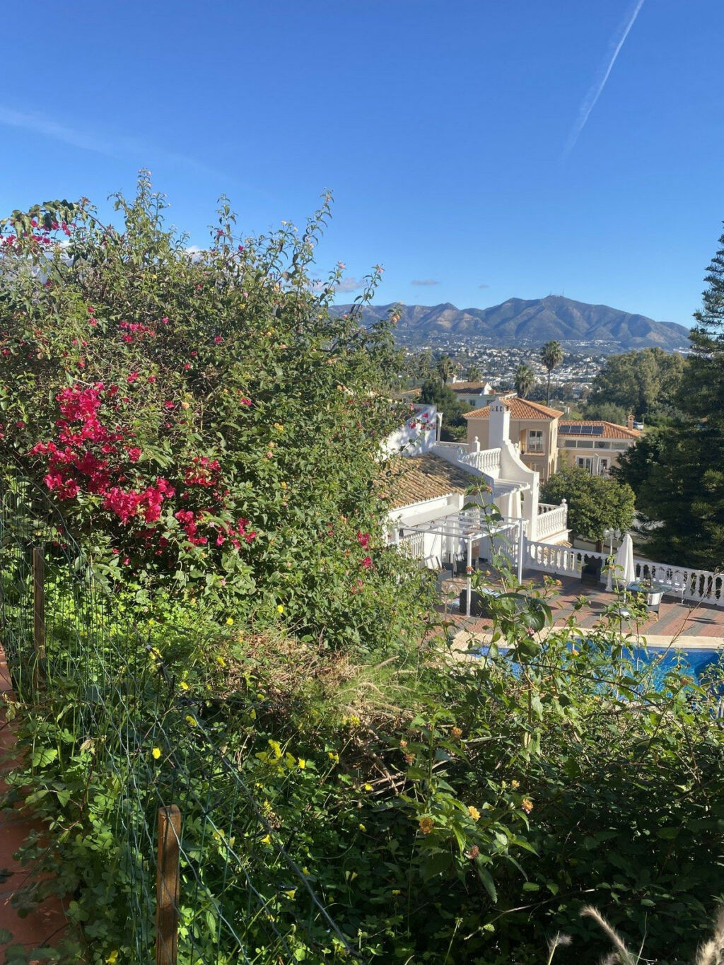 Detached Villa Mijas Costa Málaga - image 51