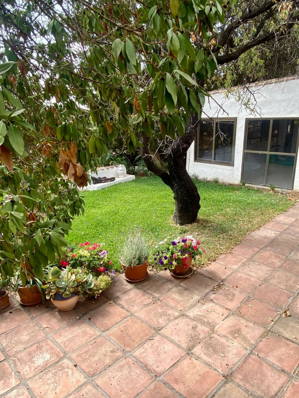 Detached Villa Mijas Málaga - image 55