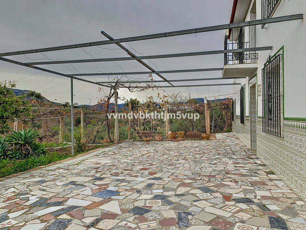 Finca - Cortijo Comares Málaga - image 6