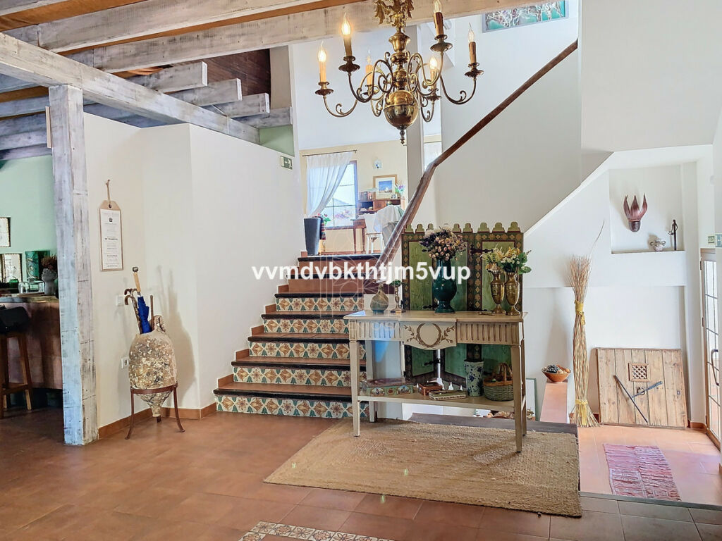Finca - Cortijo Alcaucín Málaga - image 6