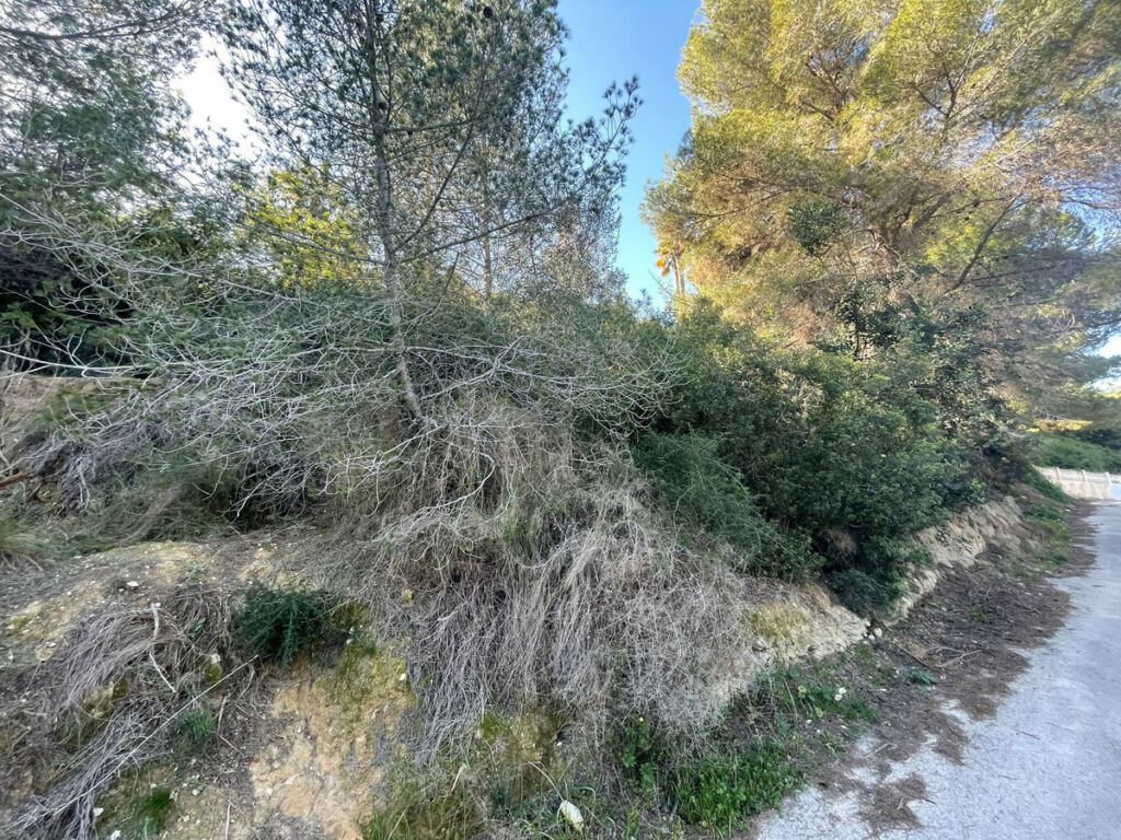 Residential Plot Benissa Alicante - image 6