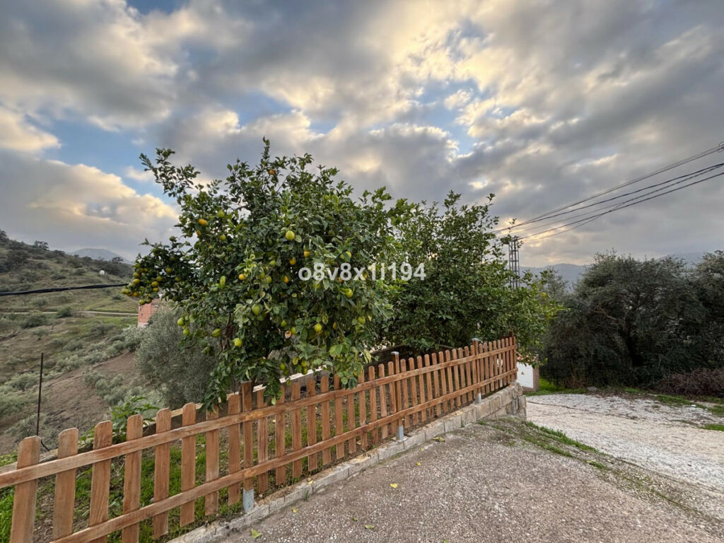 Finca - Cortijo Cútar Málaga - image 6