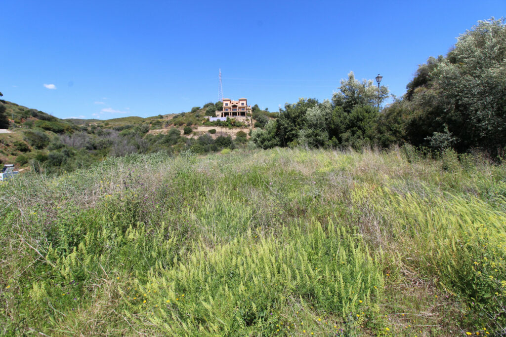 Residential Plot El Rosario Málaga - image 6