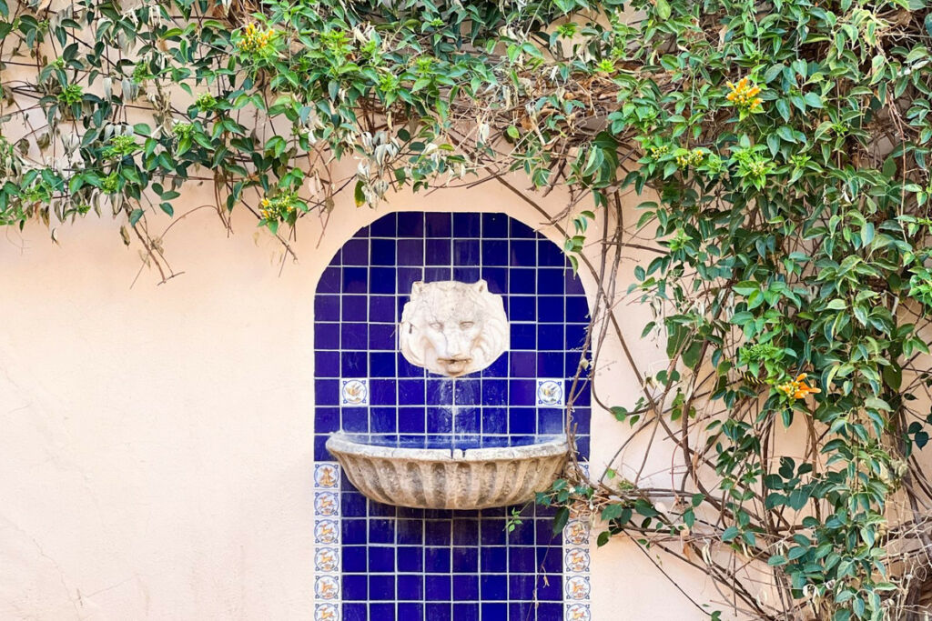 Detached Villa Estepona Málaga - image 7