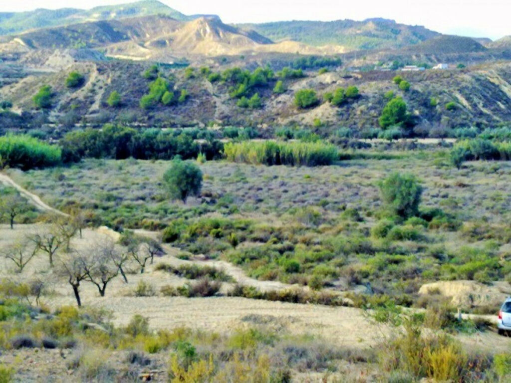 Land Torremendo Alicante - image 6