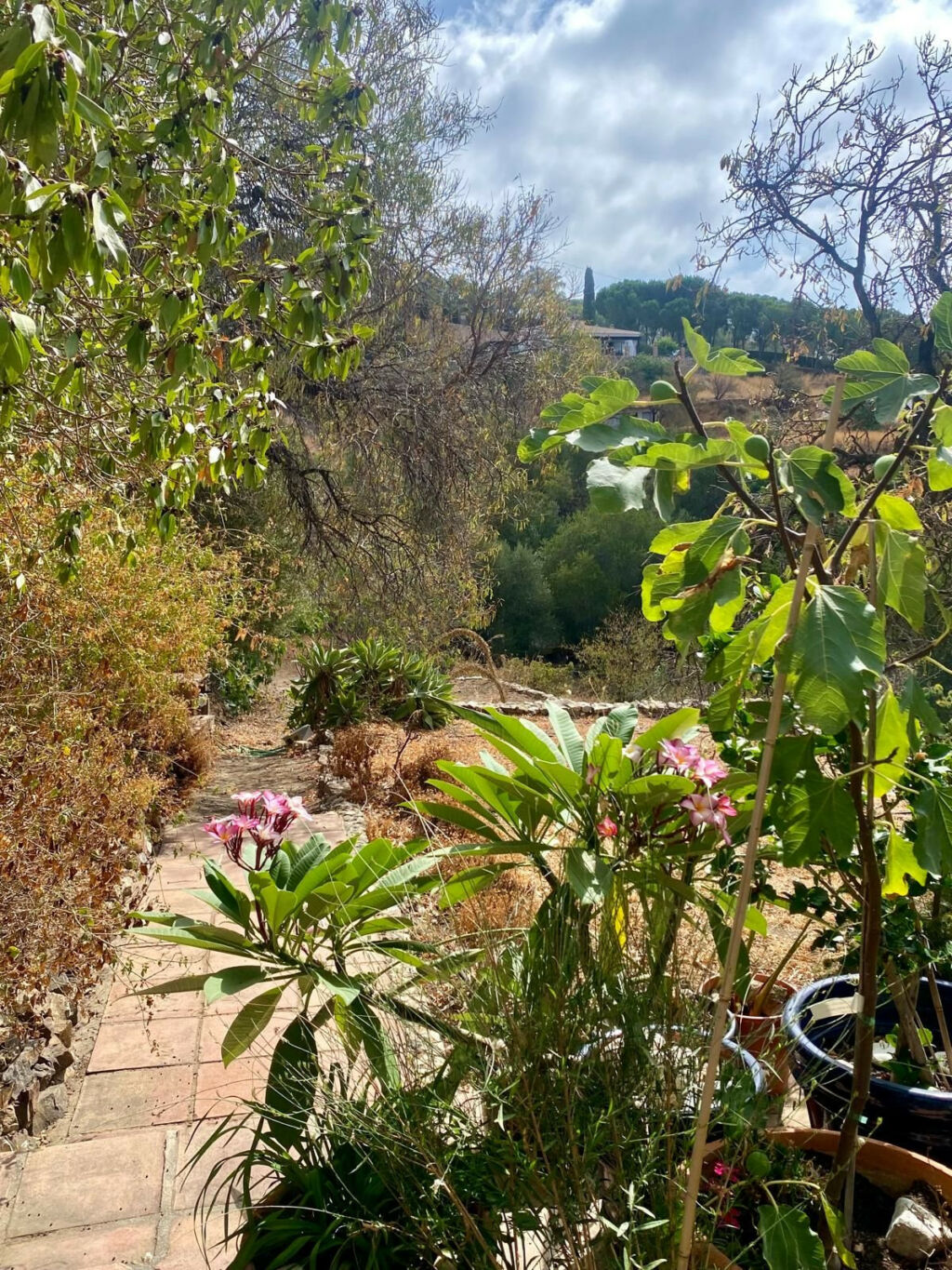 Detached Villa Mijas Málaga - image 62
