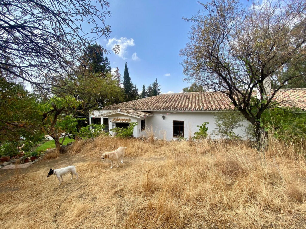 Detached Villa Mijas Málaga - image 63