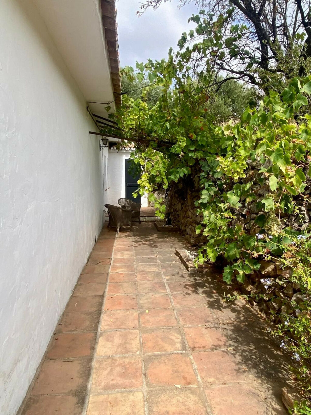 Detached Villa Mijas Málaga - image 66