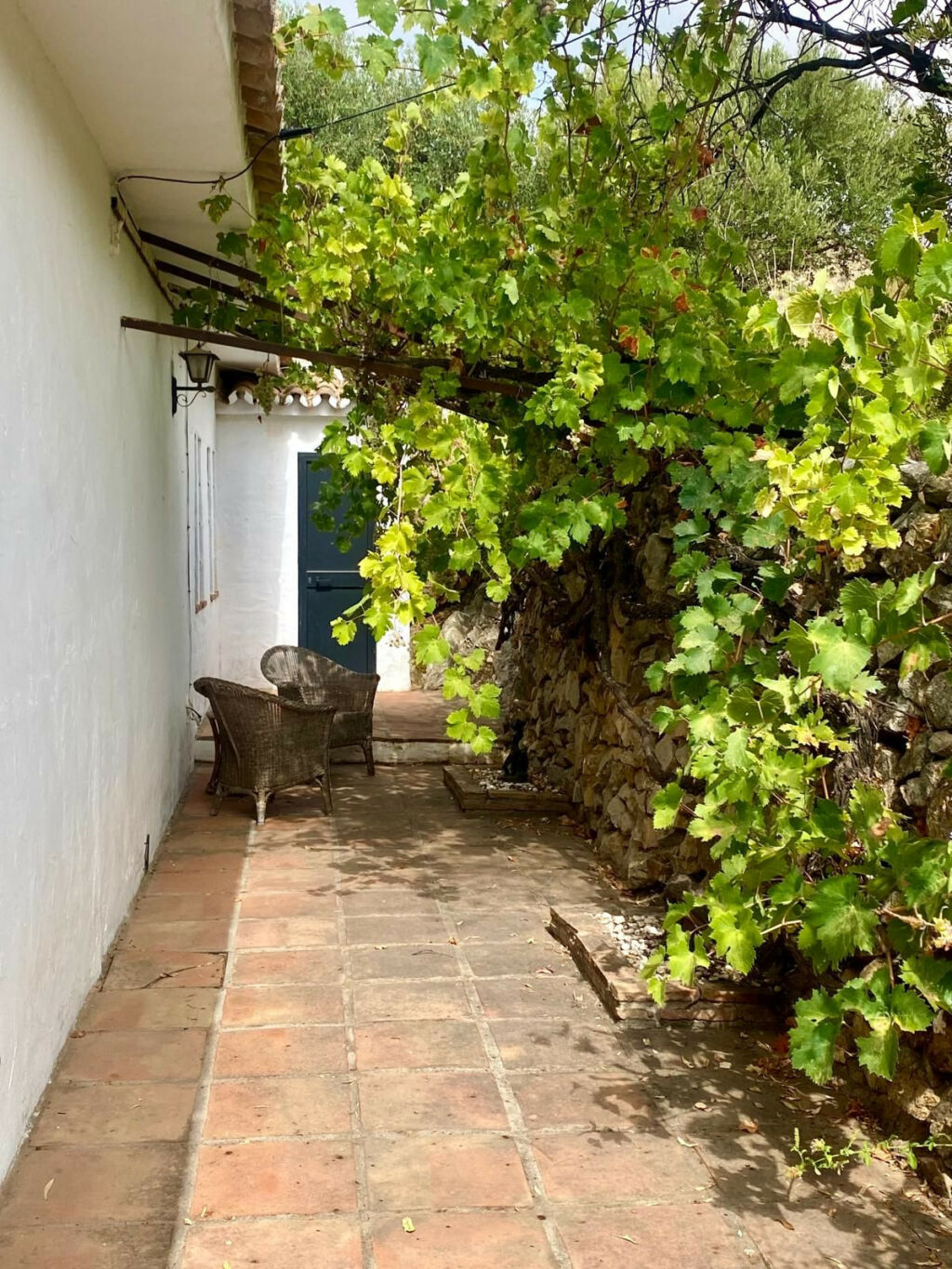 Detached Villa Mijas Málaga - image 67
