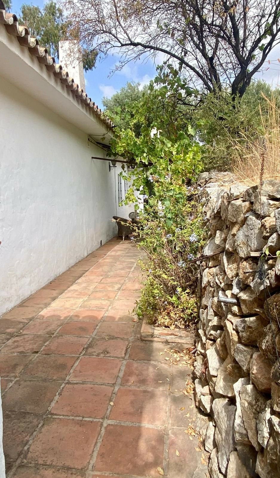 Detached Villa Mijas Málaga - image 68