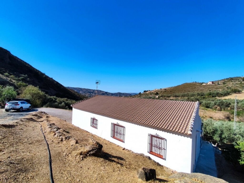 Detached Villa Alcaucín Málaga - image 7