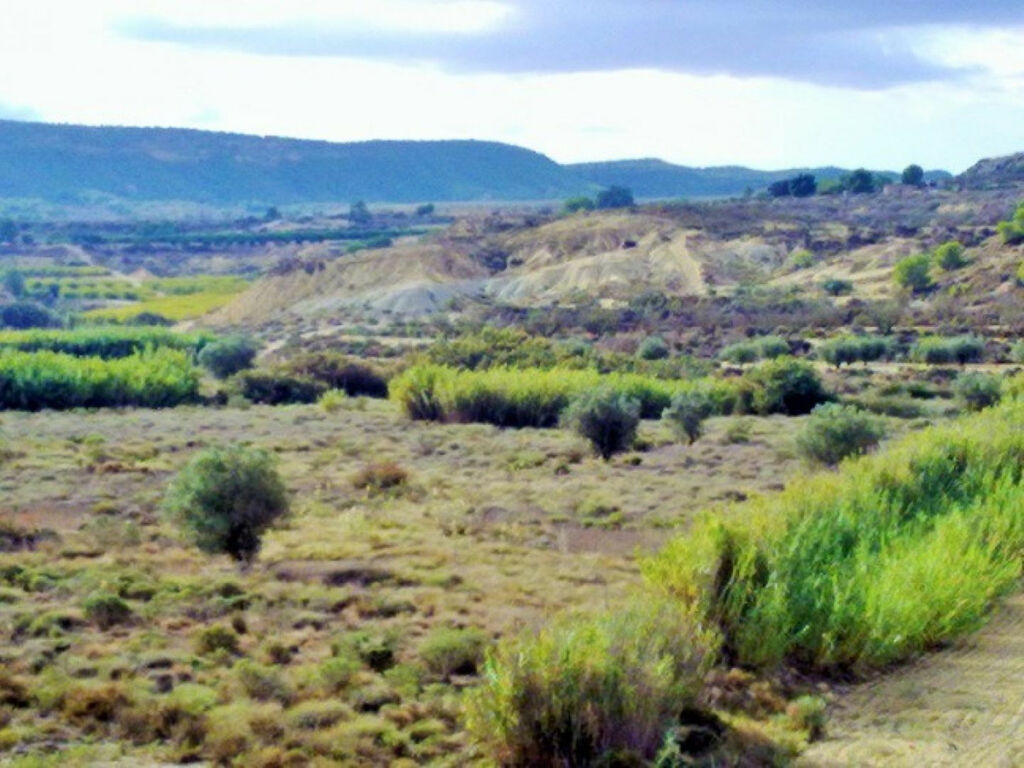 Land Torremendo Alicante - image 7