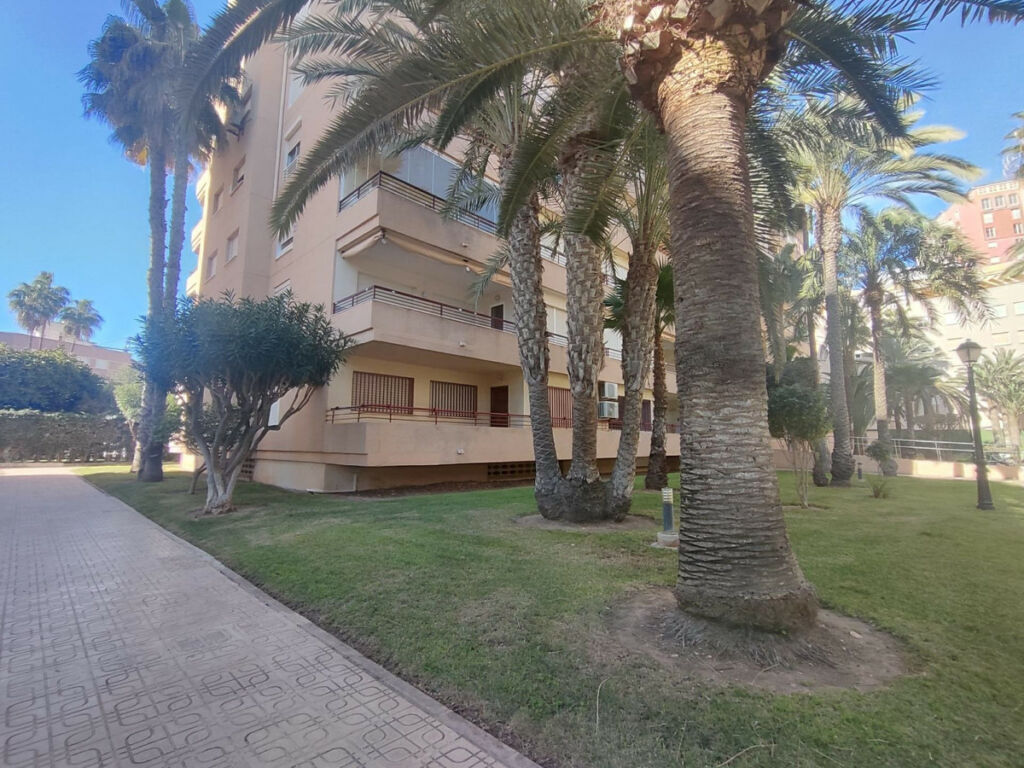 Middle Floor Apartment Torrevieja Alicante - image 7