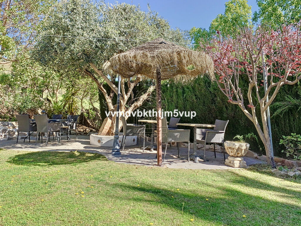 Finca - Cortijo Alcaucín Málaga - image 8