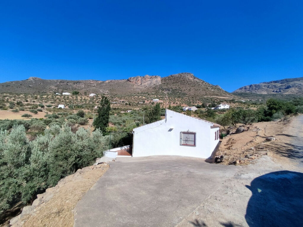 Detached Villa Alcaucín Málaga - image 8