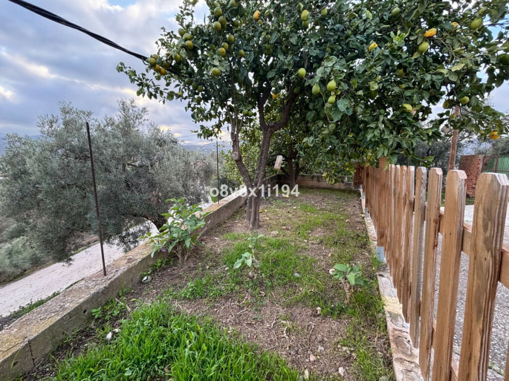 Finca - Cortijo Cútar Málaga - image 8