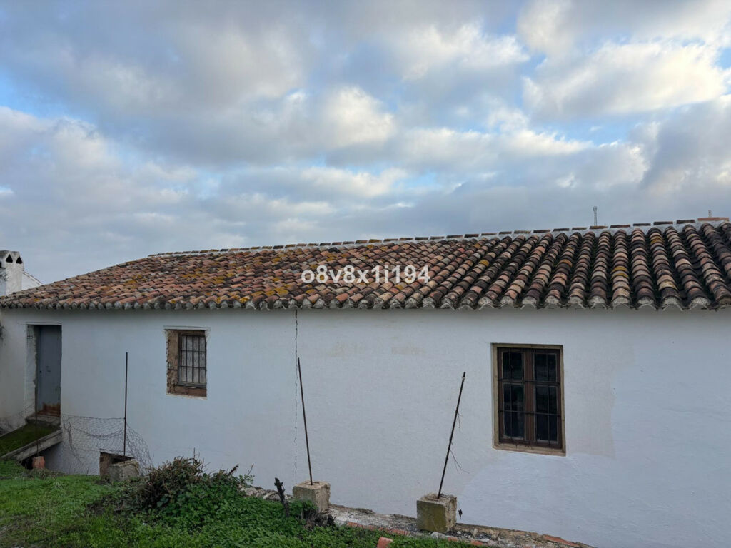 Finca - Cortijo Cútar Málaga - image 9