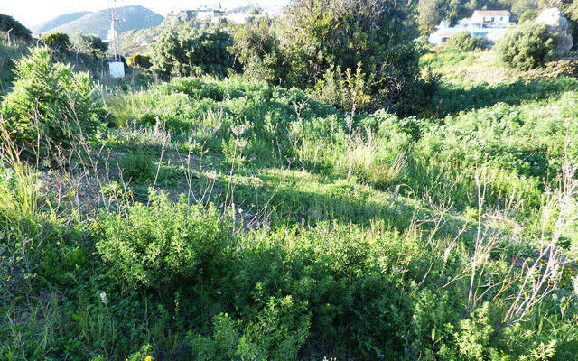 Residential Plot Benalmadena Pueblo Málaga - image 9