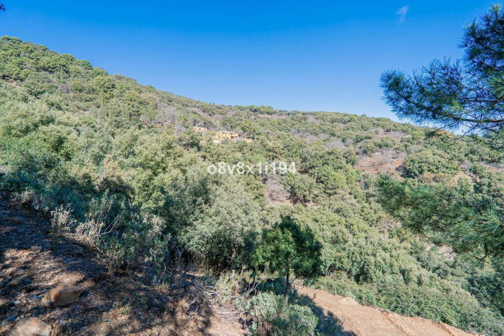 Finca - Cortijo Jubrique Málaga
