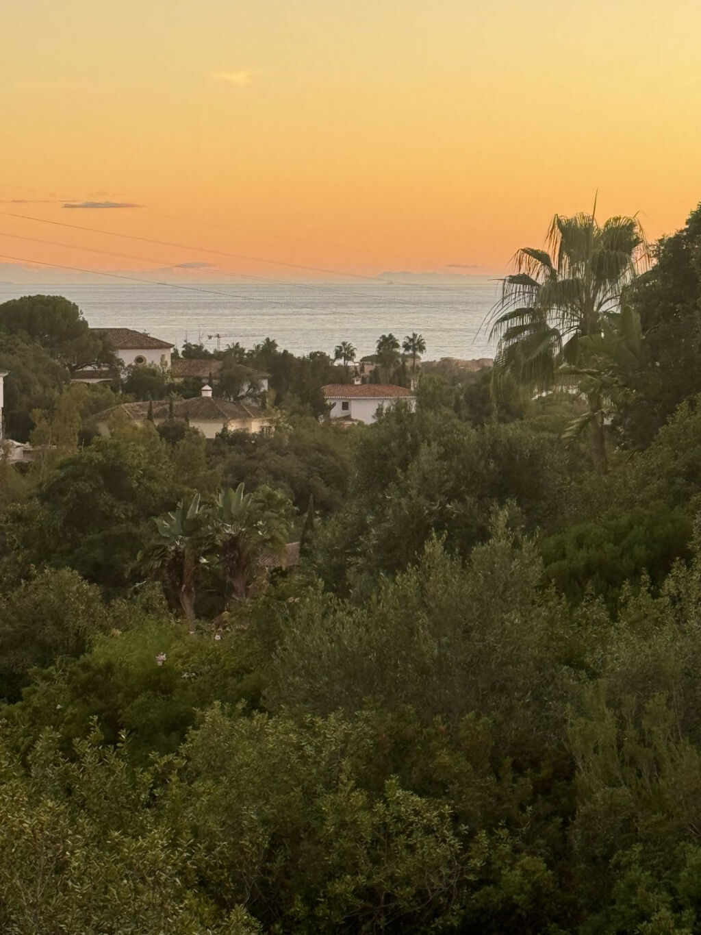 Residential Plot Elviria Málaga