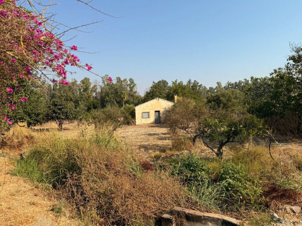 Finca - Cortijo Coín Málaga